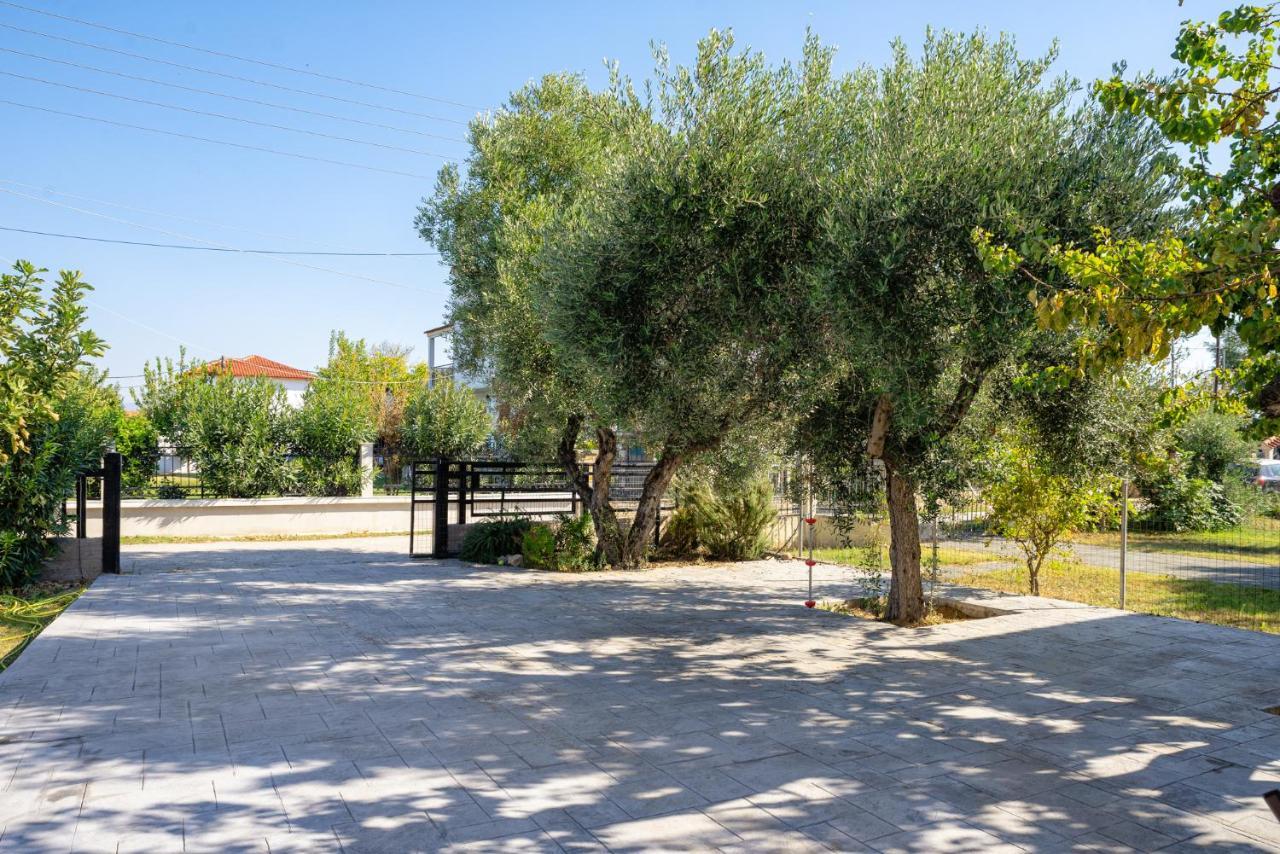 Villa Zen New Plagia Chalkidiki
